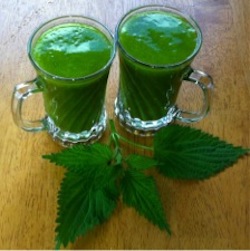 Stinging Nettles Green Smoothies
