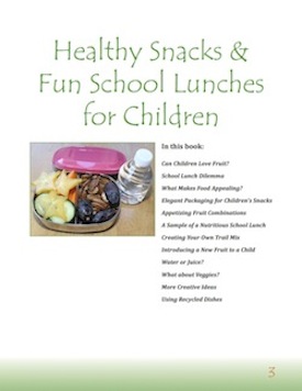 Healthy Snacks & Fun School Lunches for Children eBook Content