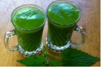 Green Smoothies Picture